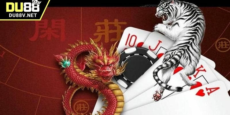 Rồng hổ DU88 được nhiều người yêu thích